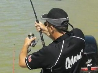 silure au leurre suite