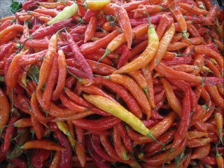 Projet Equateur Quinoa en photos