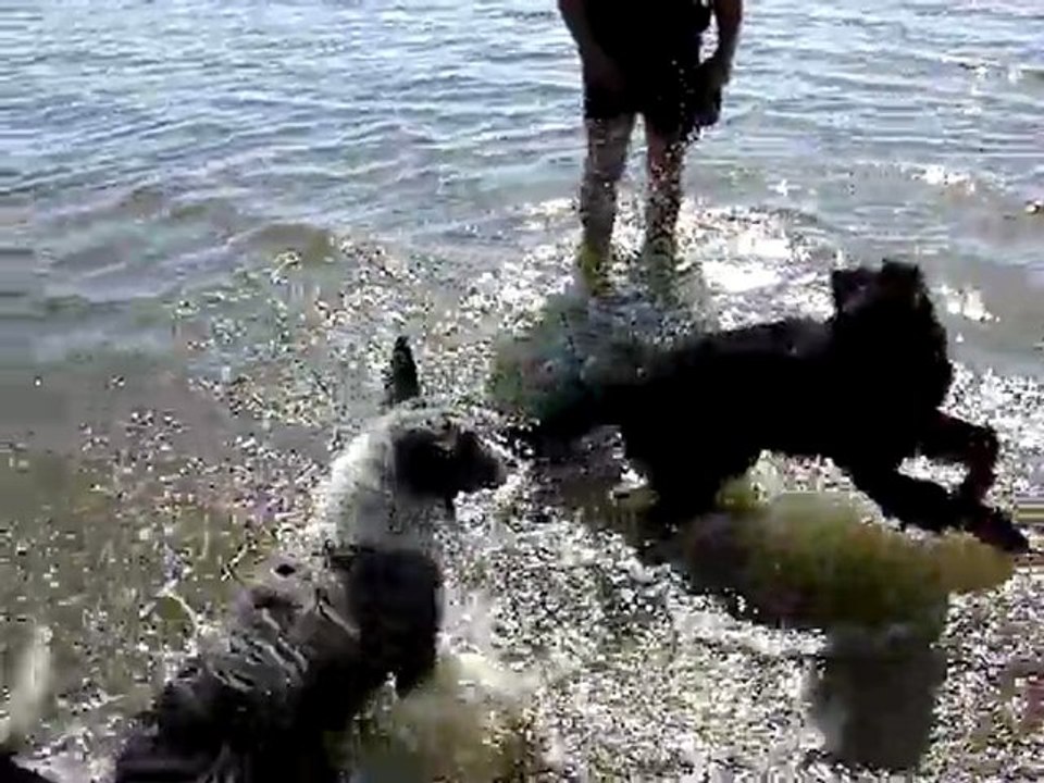 jeux dans l'eau
