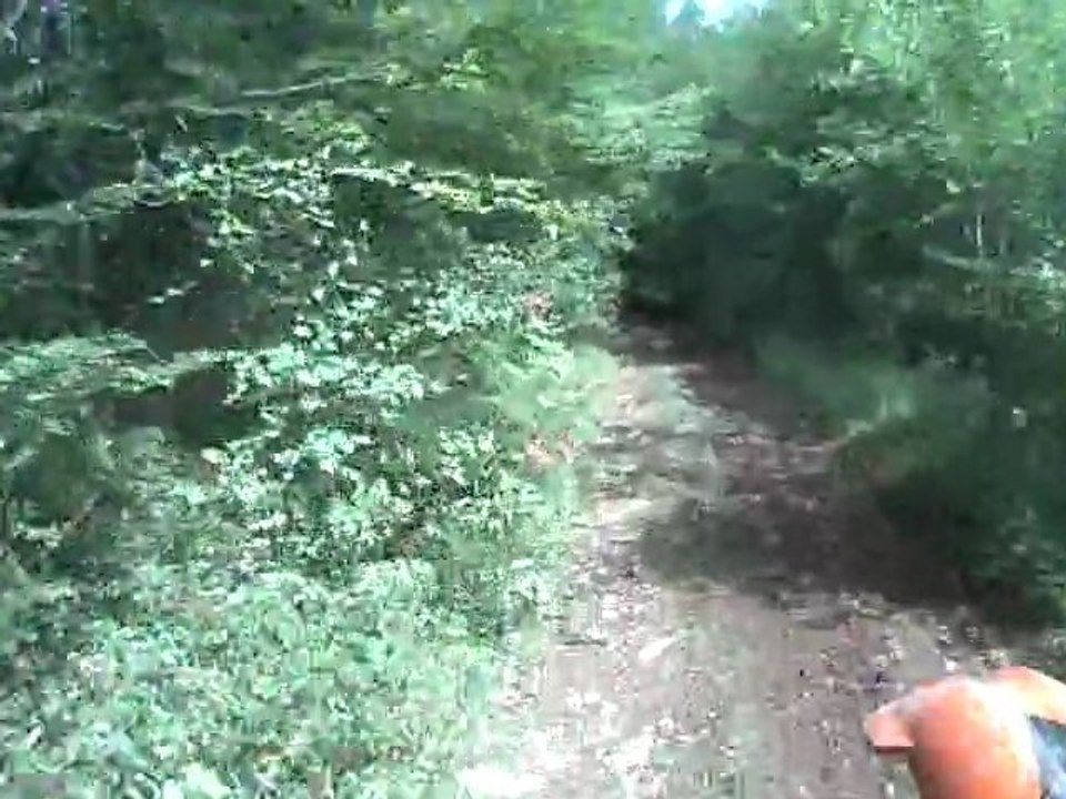 CLIP0012