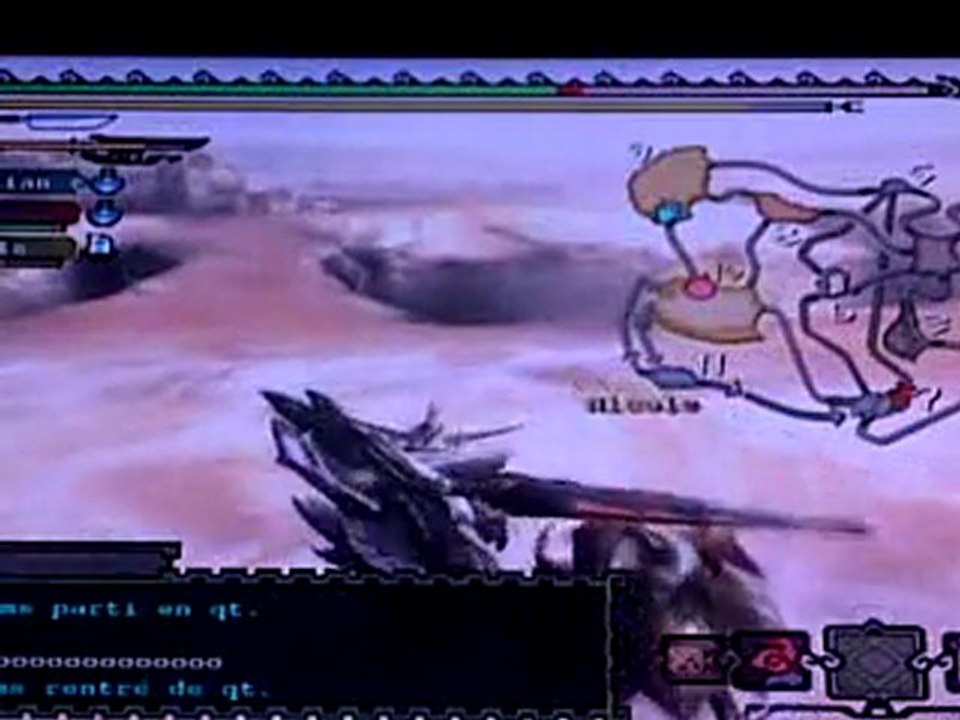 Monster hunter tri:les aventures des 2 hunters=diablos