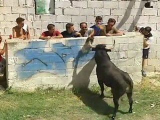 Colorado en los encierros de Letur