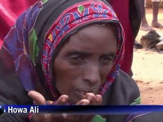 Jornada pela sobrevivência