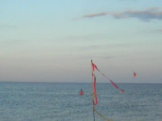 CERF VOLANT