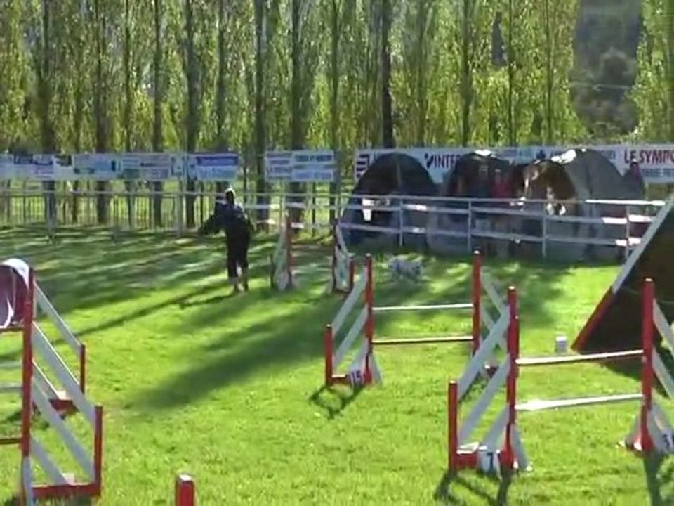 diva mezel 2011 open