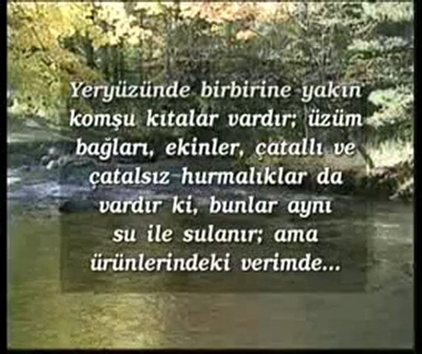 Bitkilerin renkleri