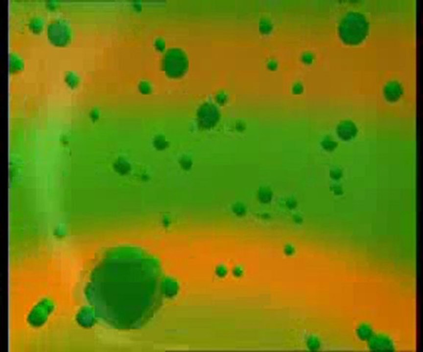 Kelebeklerin renkleri