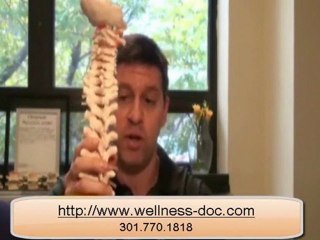 Surface Electromyography - Rockville MD Chiropractor