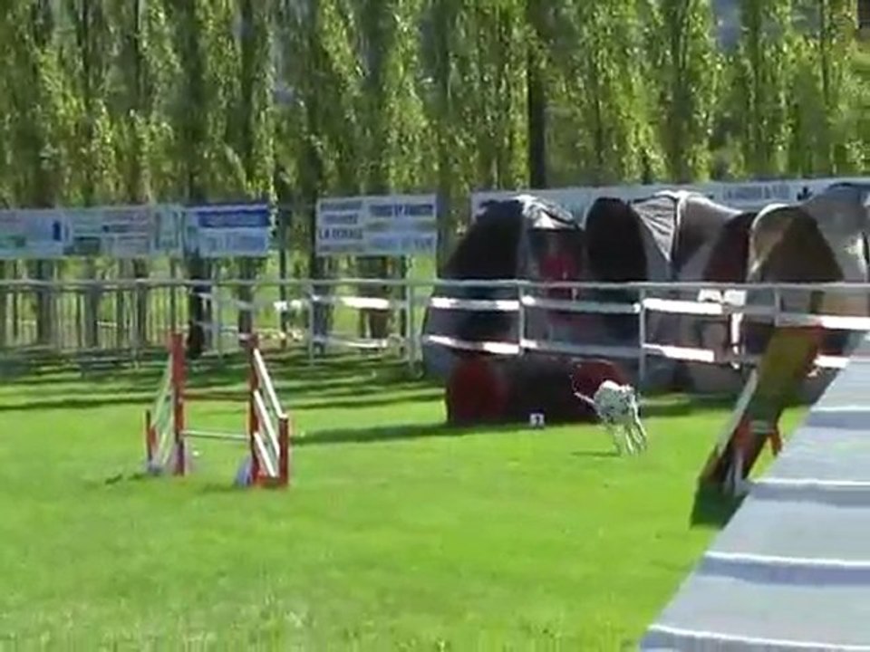 Diva 1er degré 1 ère partie de brevet mezel 2011