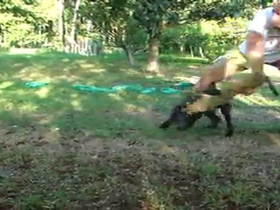 2 mois  3 semaines fin du jeu en libre