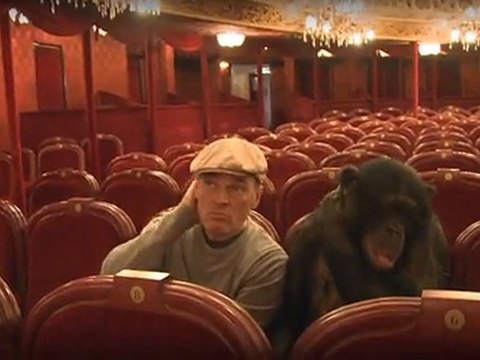 Teaser 3 / LAURENT BAFFIE / LES BONOBOS / THÉÂTRE DU PALAIS-ROYAL