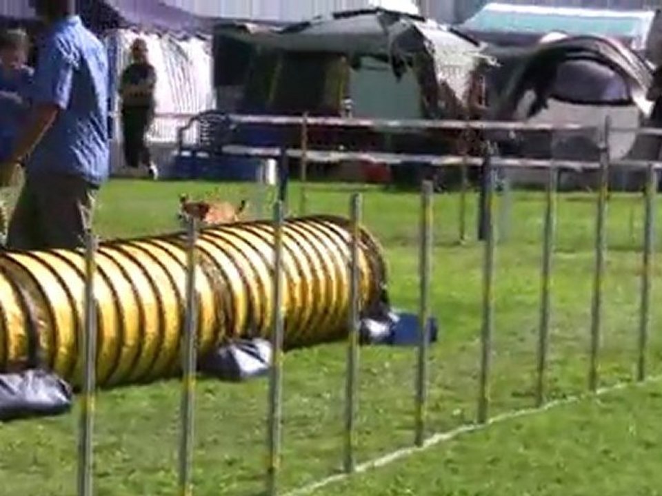 Kawa Agility 2 Couvet 21/08/2011