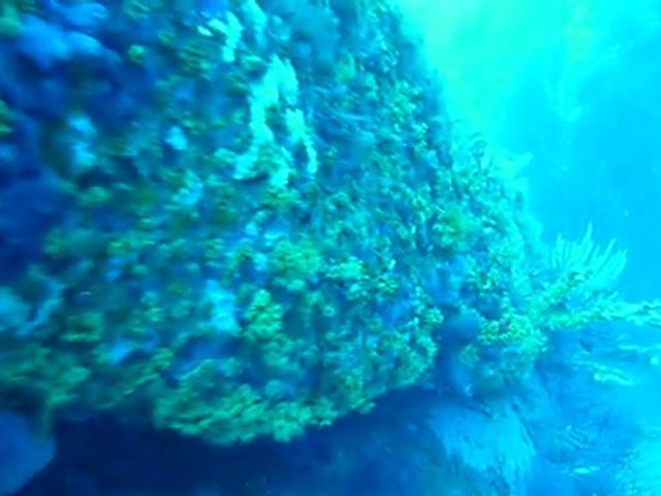 Dernière plongée d'Août au Clocher