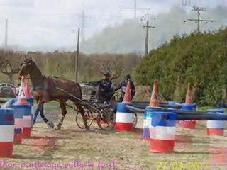 Marathon d attelage - Milly La forets -27-03-2011