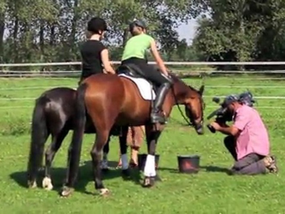 MDR Fernsehen auf dem Reiterhof