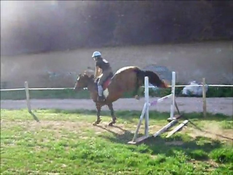 Amv Sauts d'obstacle, Hongre merens et jument de selle