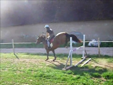 Amv Sauts d'obstacle, Hongre merens et jument de selle