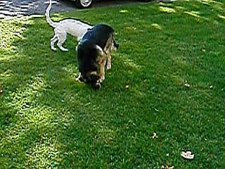 BAIKA JIMI ET ARES LE 25 AOUT 2006