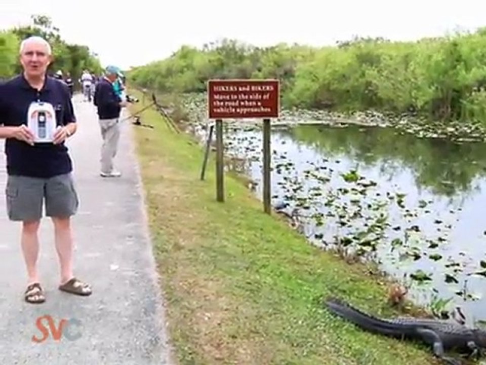 Senior Value Cell phone - Travel companion for seniors