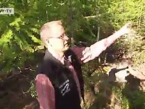 Climate change in the Alps - Swiss mountain tourism treads new ground | Global 3000