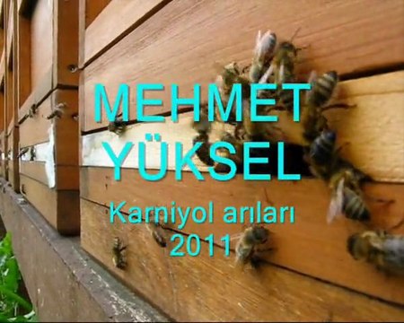 Arıcılık Mehmet Yüksel 2011