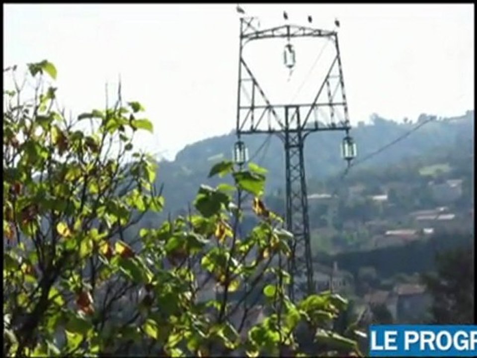Loire : vol de cigognes au-dessus du Chambon-Feugerolles