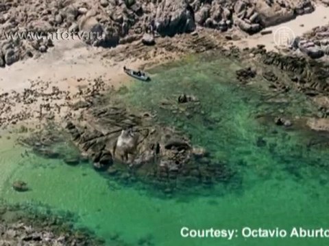 Самый надежный морской заповедник в Мексике