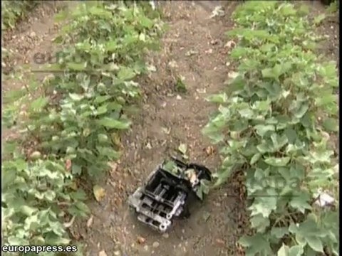 Tres muertos en accidente de tráfico en Sevilla