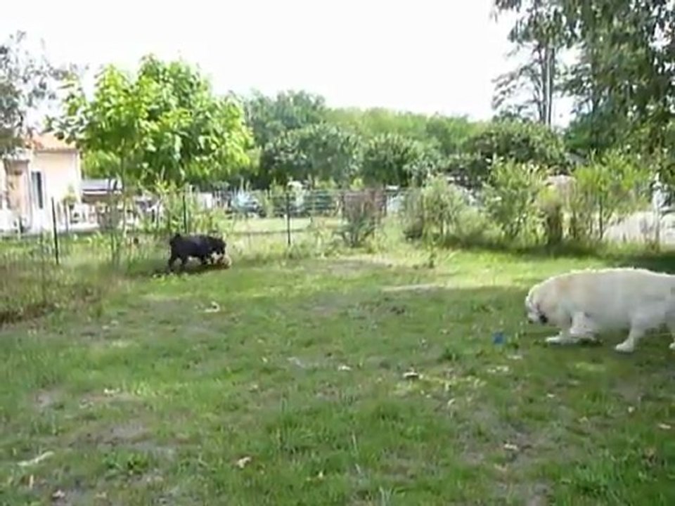 Flora et son ballon de basket
