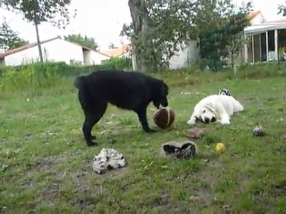 Flora et son ballon de basket