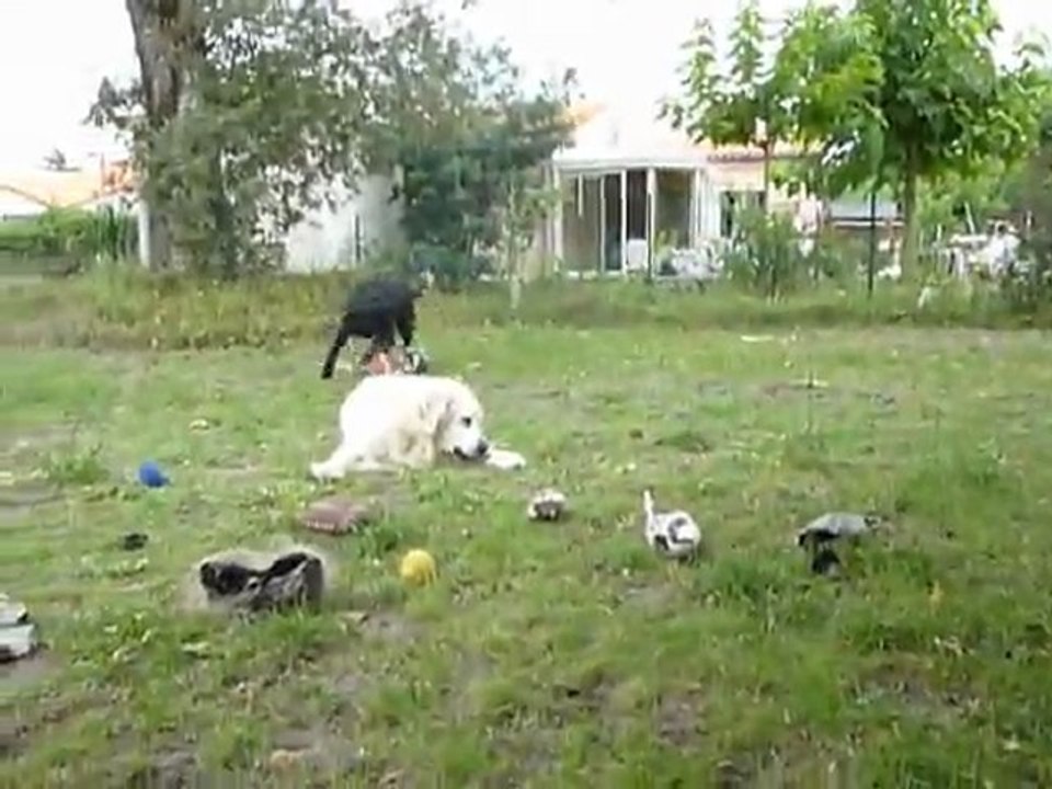 Flora et son ballon de basket