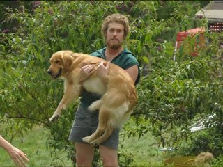 Our Idiot Brother (2011) - FULL MOVIE - Part 8/10