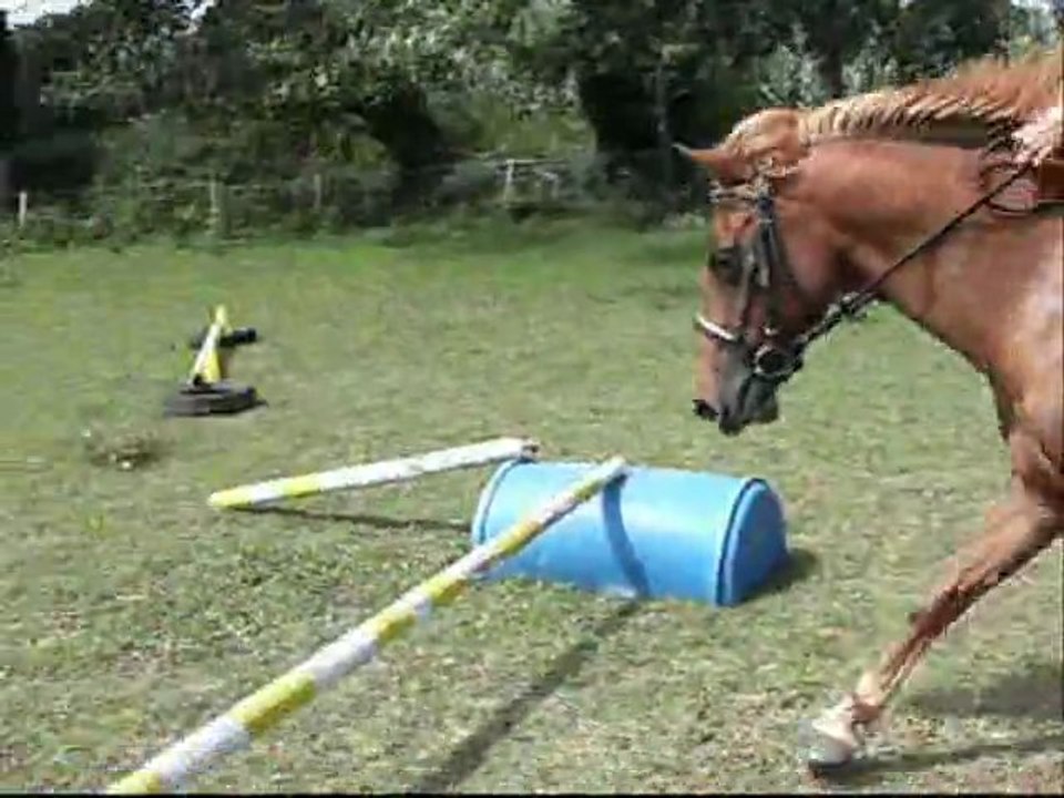 Joyeuse demis sang arabe et moi le 3 août 2011