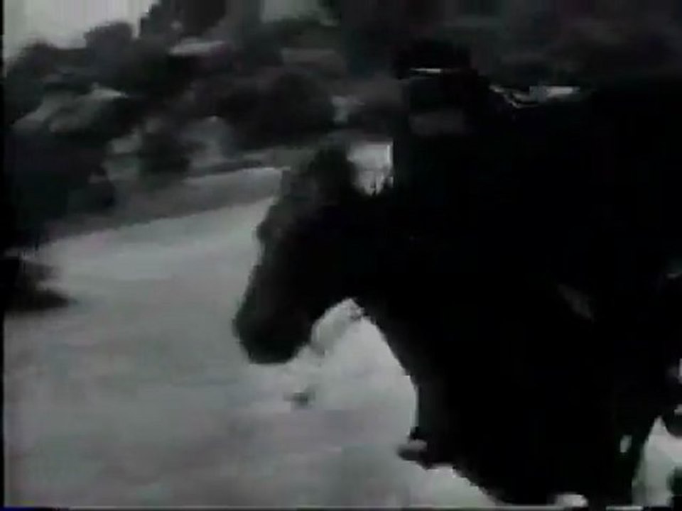 Zorro générique en VO