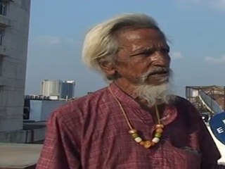 Los monos de la India, "problema" o "bendición"