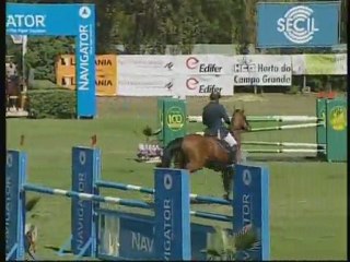 Amerigon - 6yo competition (1.30m)