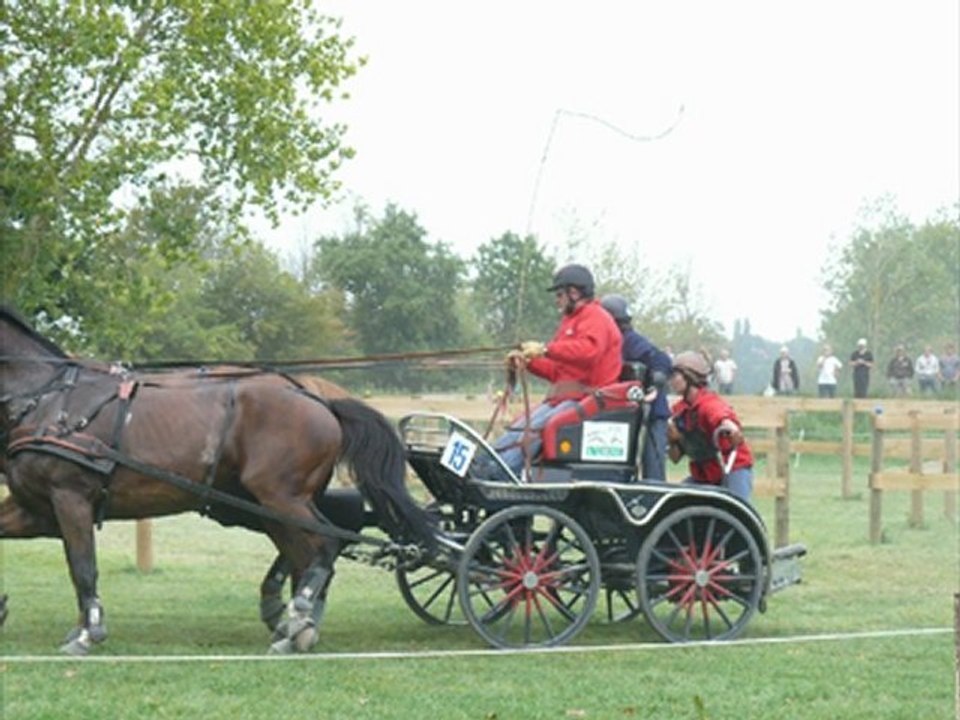 2011-08-20 St Lo_Helga Groumette