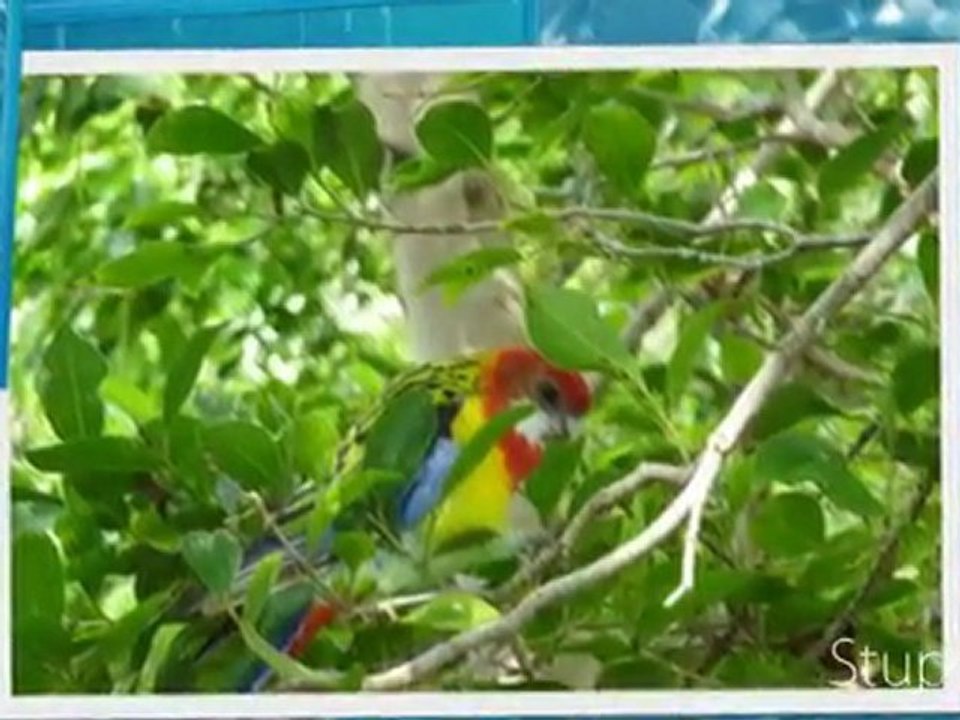 Concours photo Tenerife-Canaries