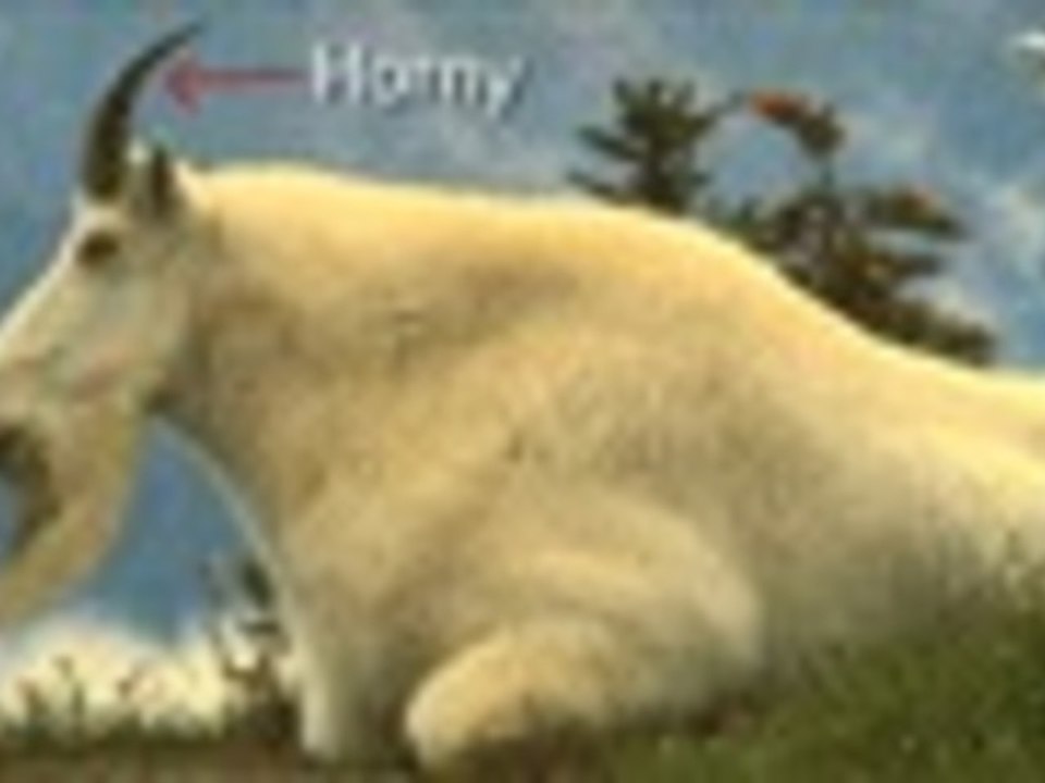 ‪Savita bhabhi ke Sexy Solutions - Coming Back‬