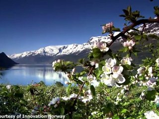 Travel Guide: Cities in Norway