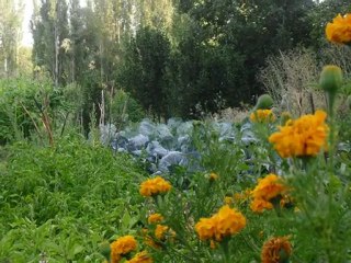 Baybağan Köyü 2011 Ramazan Bayramı