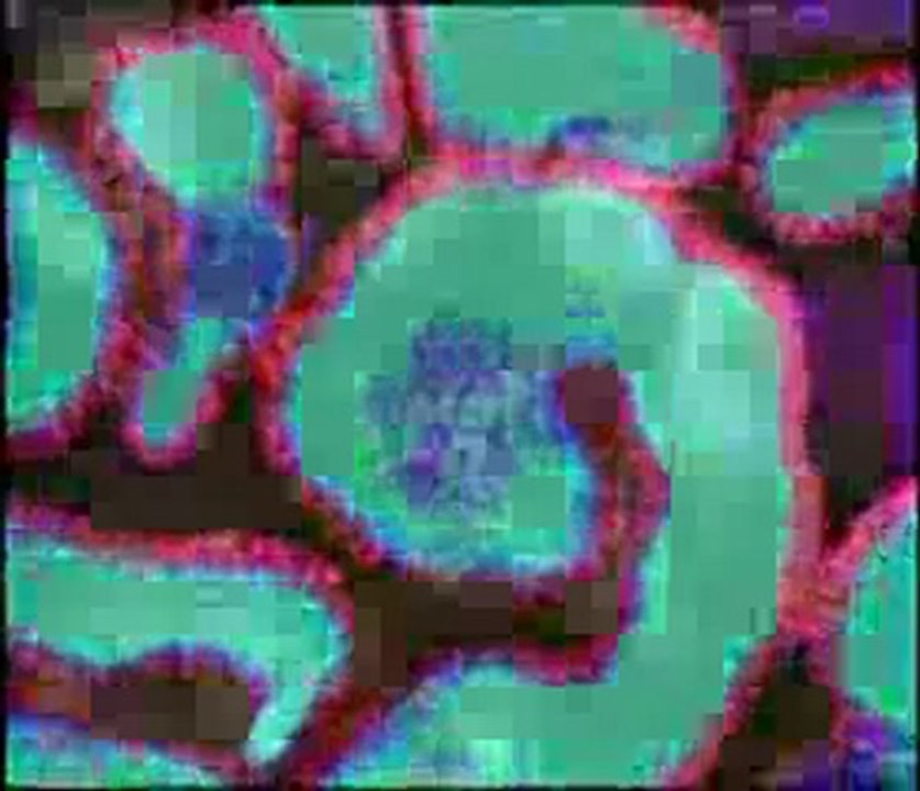 Teknolojiden üstün organlar