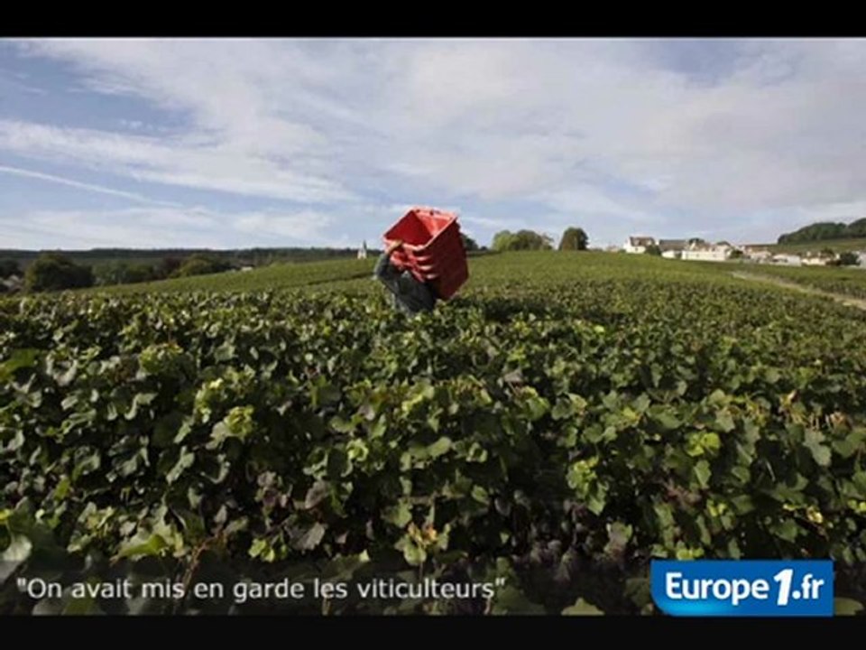 "On avait mis en garde les viticulteurs"