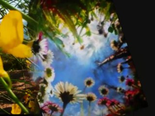 EL AMOR -  CANTAUTORA - LADY HAGUA