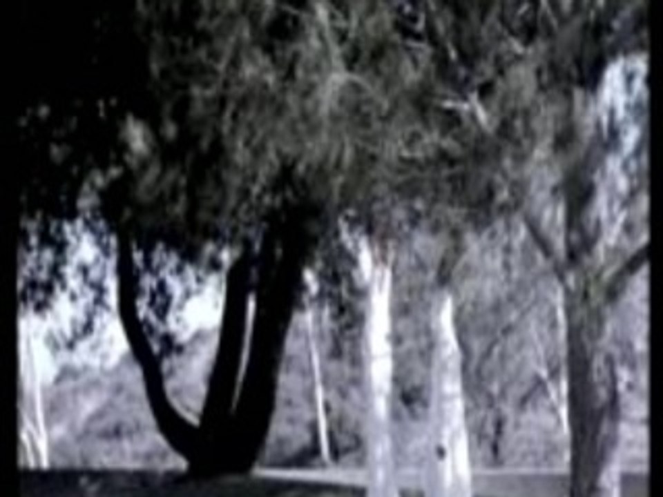 Marilyn Manson | The Dope Show