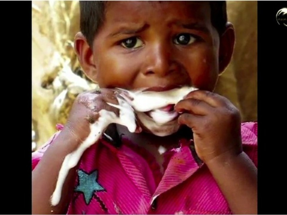 LNN - Global Warming Melts Ice Cream in 2 Minutes