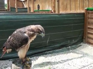 Aveyron:Les horts de Walhalla