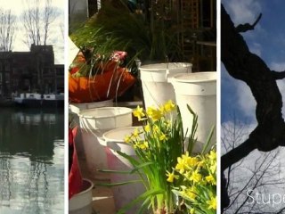 Un petit tour sur la Batte à Liège