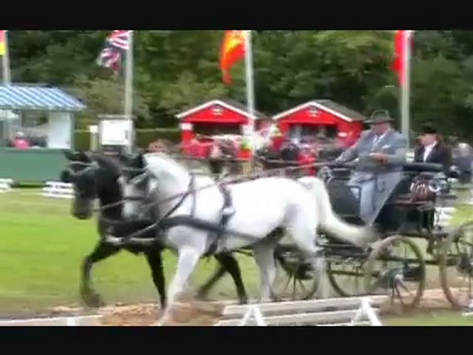Conty, mondial d'attelage : le dressage, tout un art