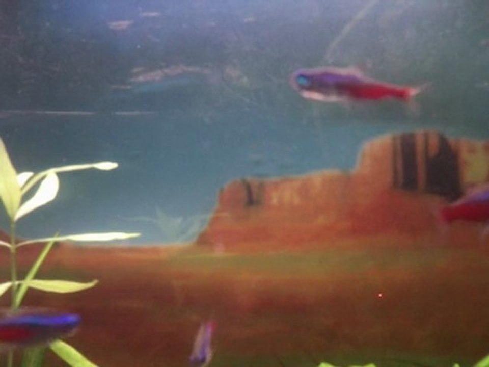 TEMPO 260...je délie mes doigts en musique